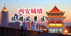 草逼片免费看中国陕西-西安城墙旅游风景区